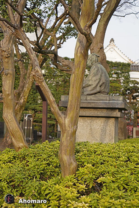 写真00