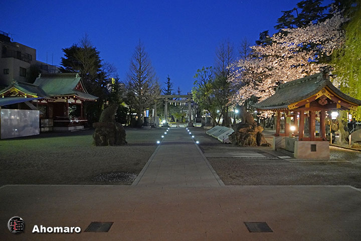 写真00
