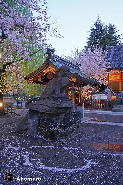 写真00