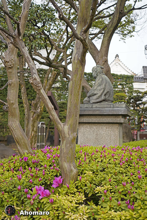 写真00