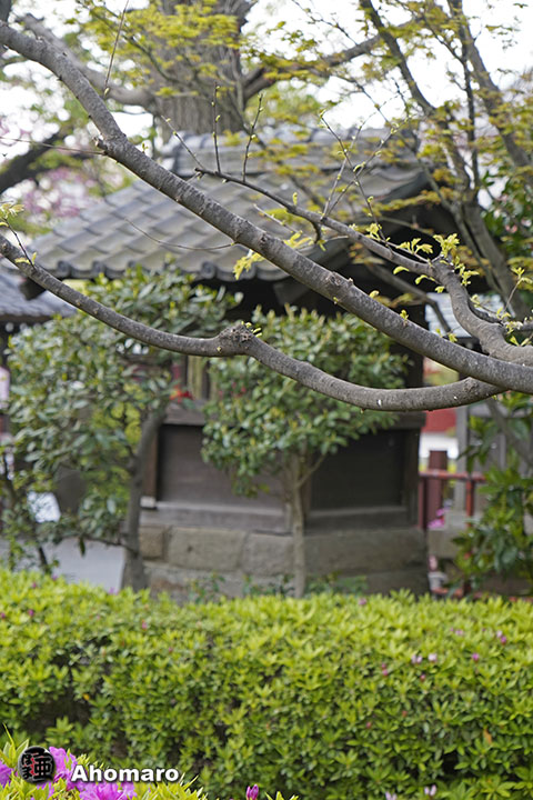 写真00