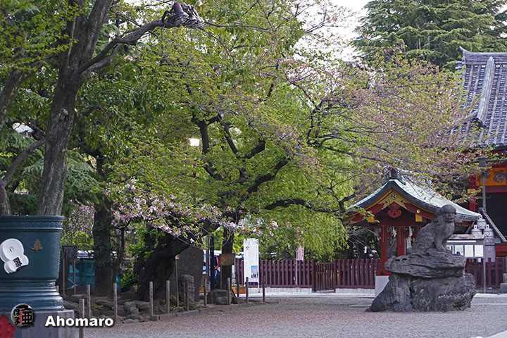 写真00