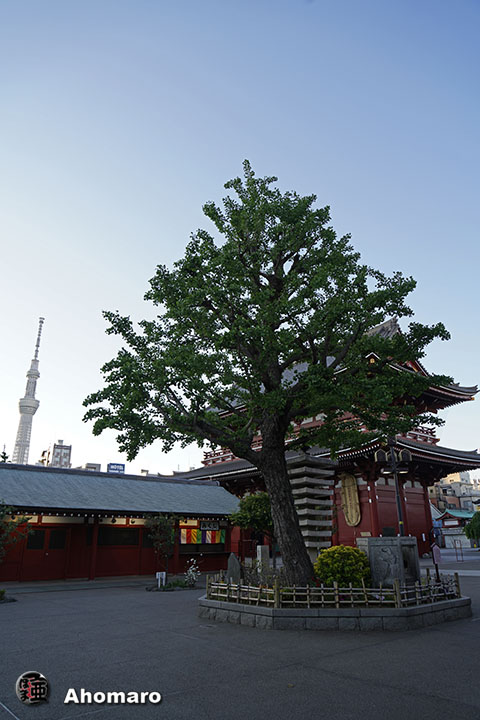 写真00