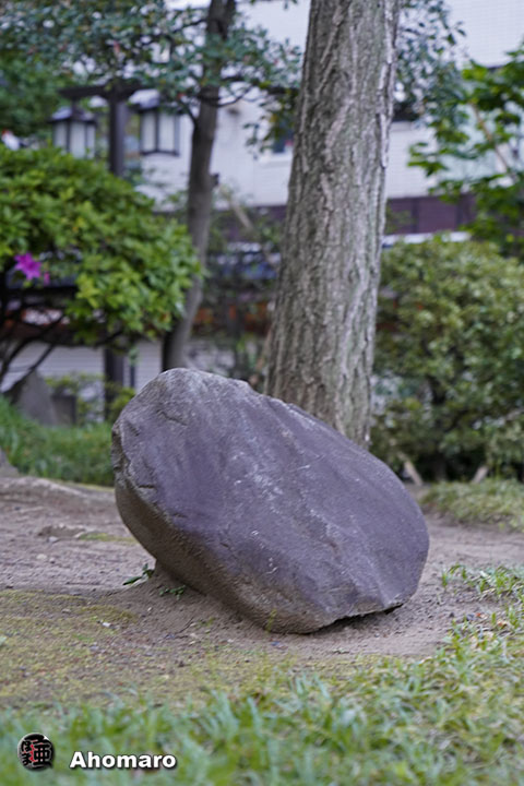 写真00