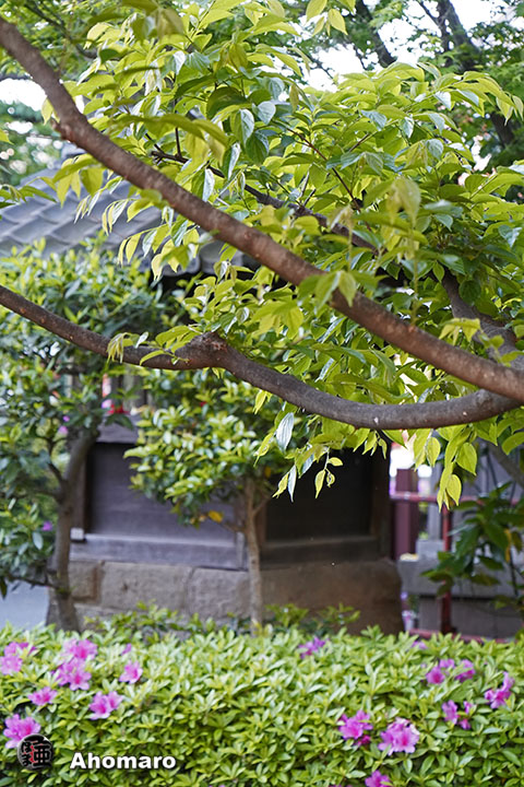 写真00