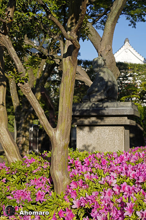 写真00
