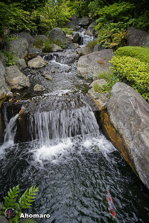 写真00