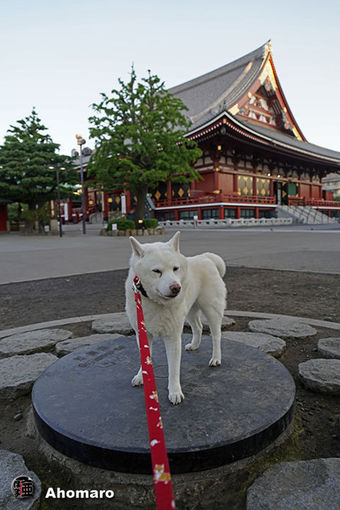 写真00