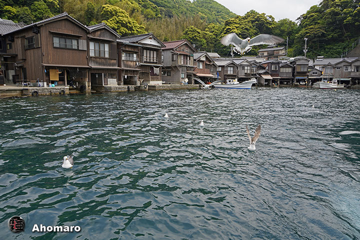 写真00