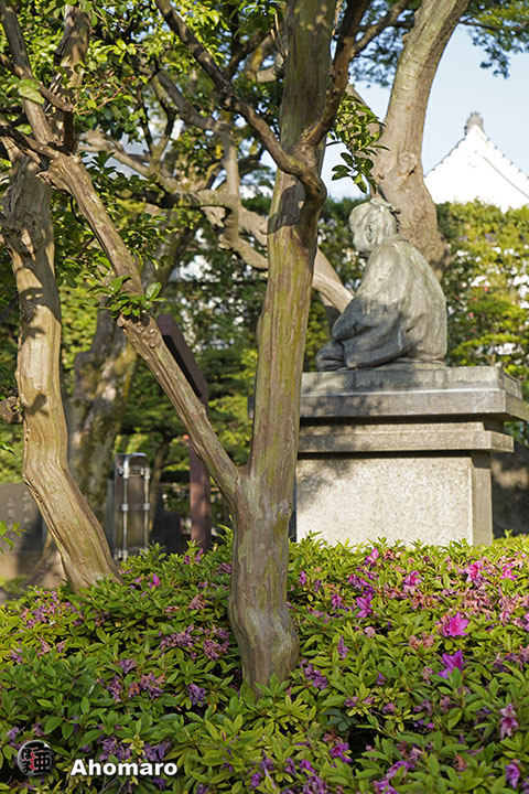 写真00