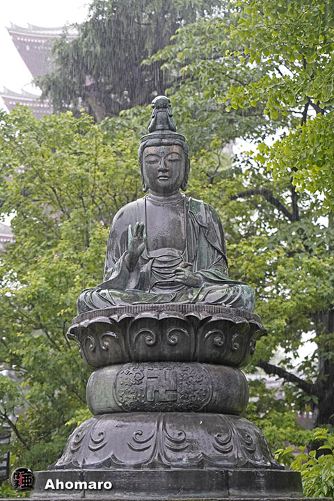 写真00