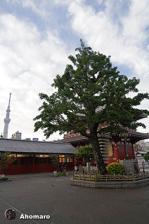 写真00