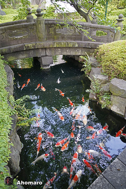 写真00