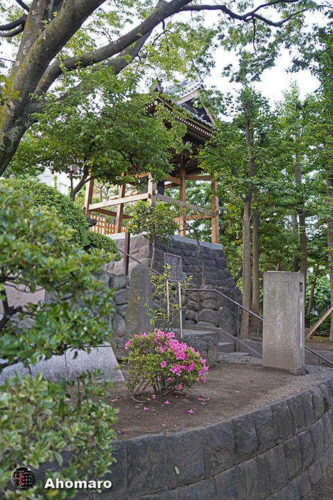 写真00