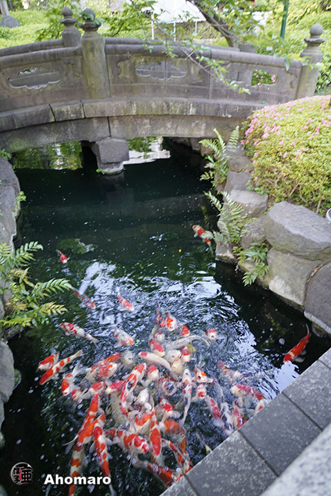 写真00