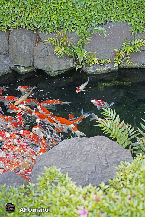 写真00