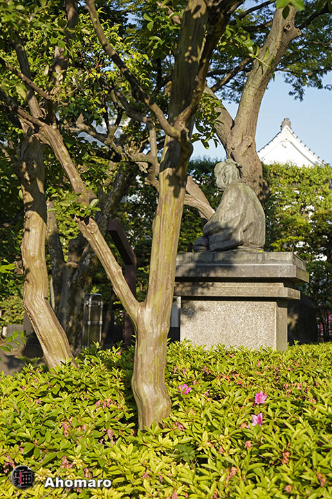 写真00