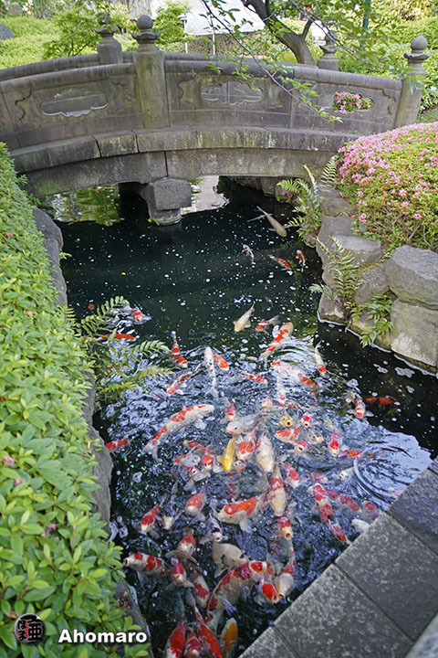 写真00