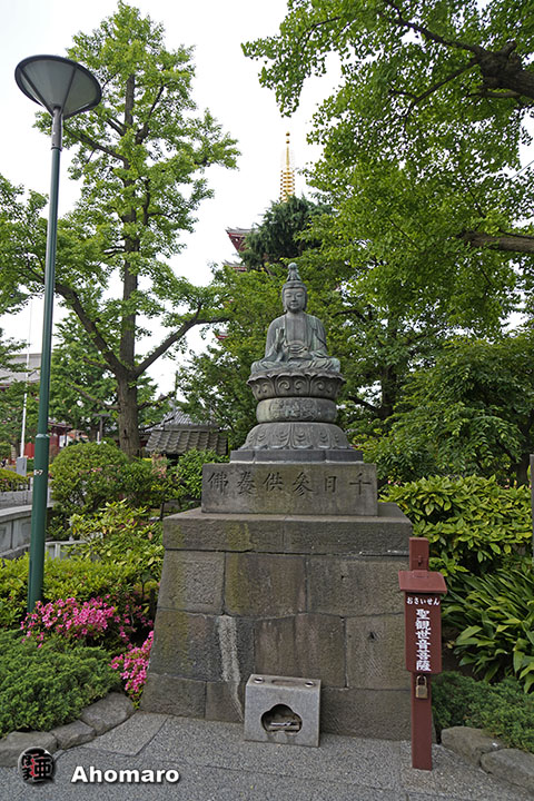 写真00