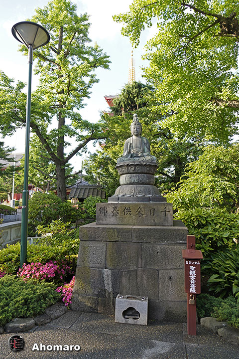 写真00