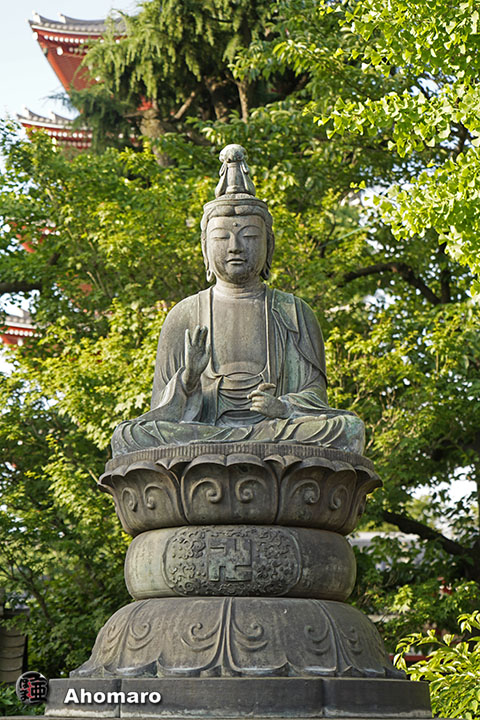 写真00