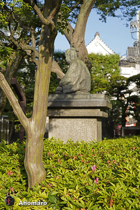 写真00