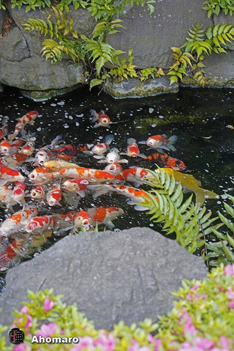 写真00
