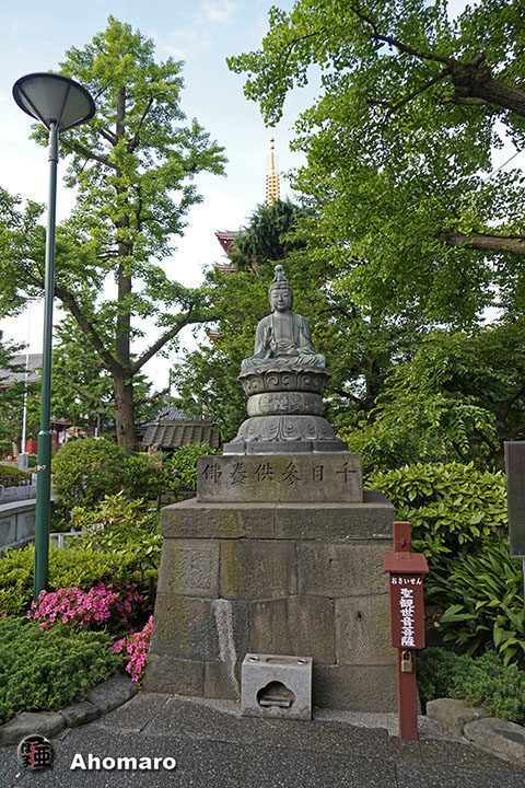 写真00