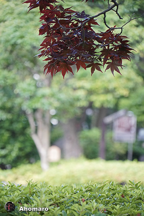 写真00