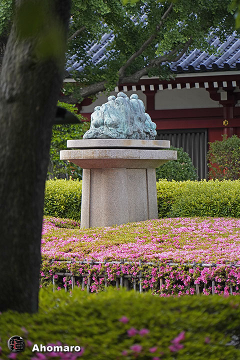 写真00