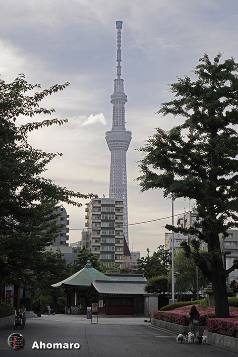 写真00