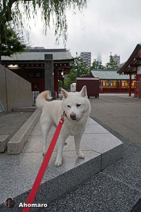 写真00
