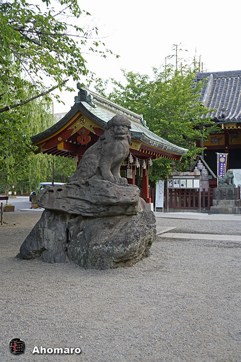 写真00