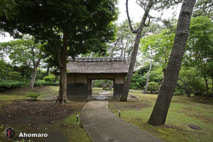 写真00