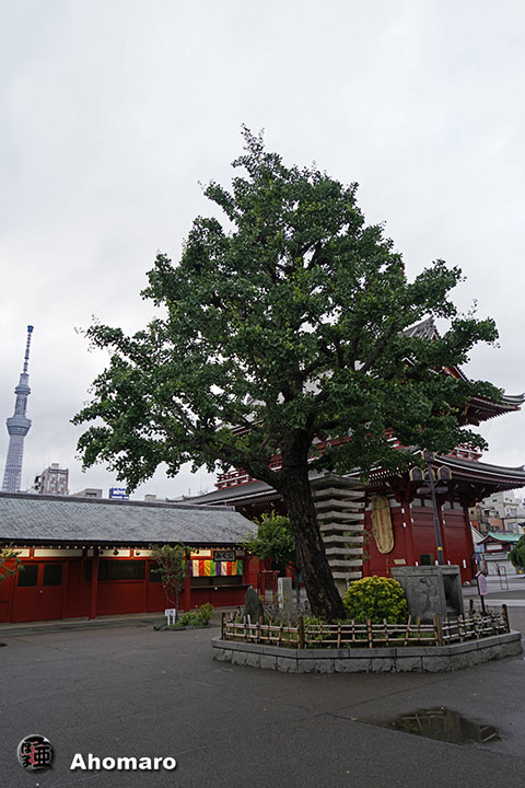写真00