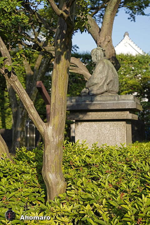 写真00