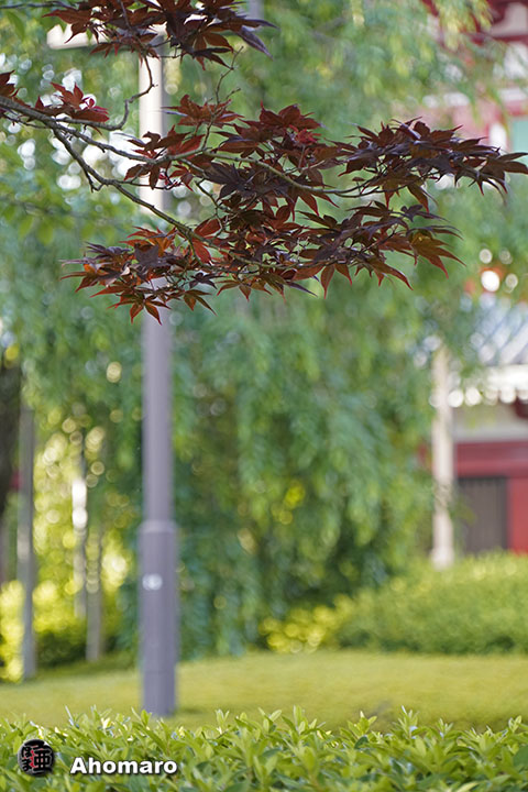 写真00