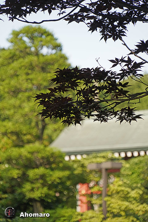 写真00