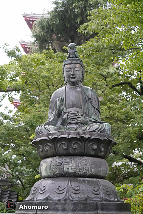 写真00