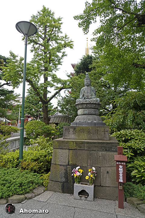 写真00