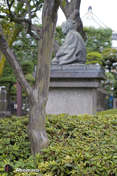 写真00