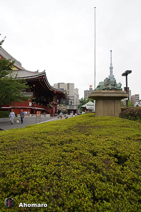 写真00