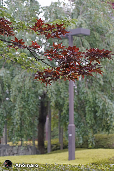 写真00