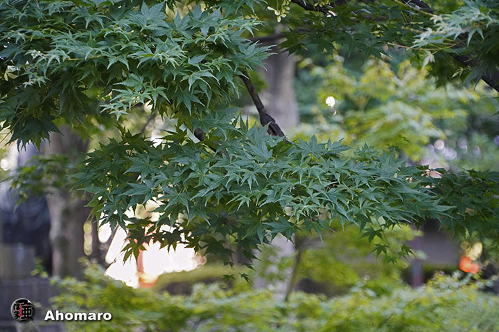 写真00
