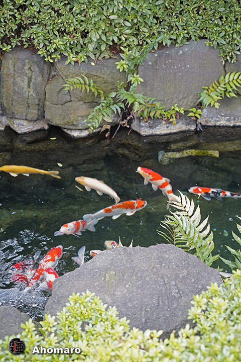 写真00