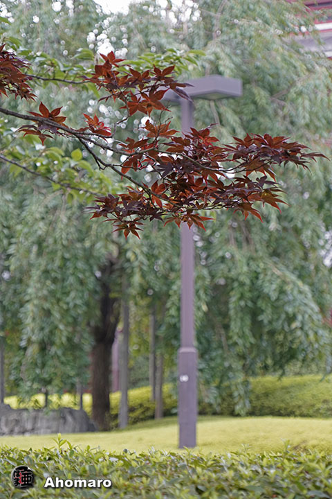 写真00