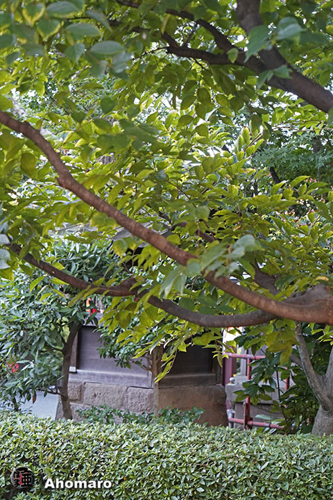 写真00