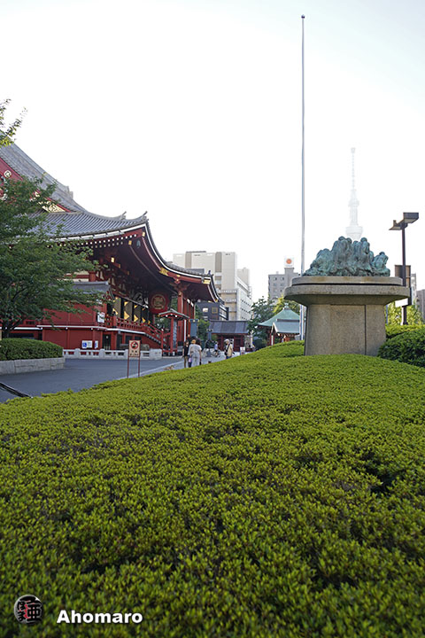 写真00