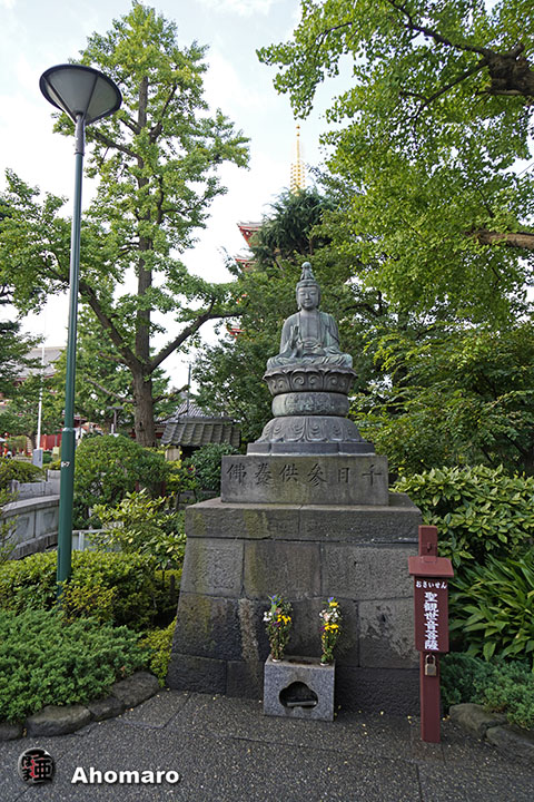 写真00