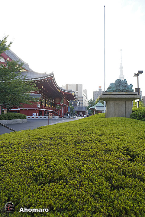 写真00